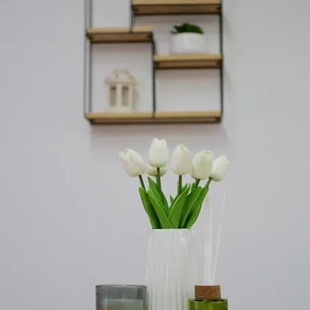 Apartment Harmony Pirot