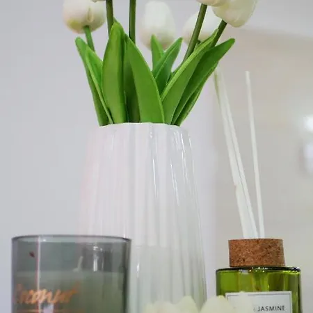 Apartment Harmony Pirot