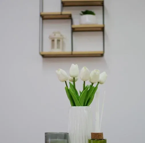 Апартаменты Harmony Пирот